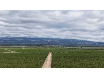 VENTA DE FINCA ÚNICA DE 275 HAS - EN TUNUYAN, MENDOZA.
