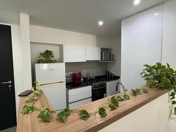 Departamento - Ocho Sauces