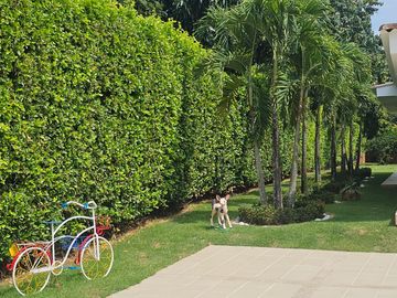 CASA CAMPESTRE en VENTA en Jamundí Las Mercedes