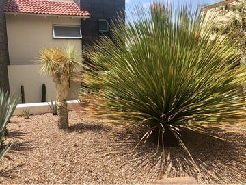 Casa en Venta de tres recamaras y amplio jardín en Vista Real
