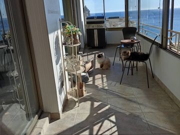 EN VENTA DPARTAMENTO CORACEROS EN VIÑA DEL MAR
