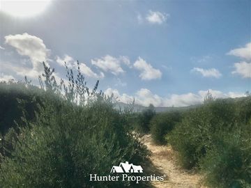Terreno Construccion en Venta en camino pencahue sector Quepo hacia el norte