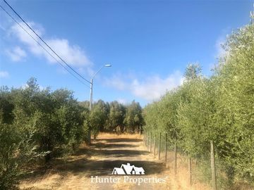 Terreno Construccion en Venta en camino pencahue sector Quepo hacia el norte