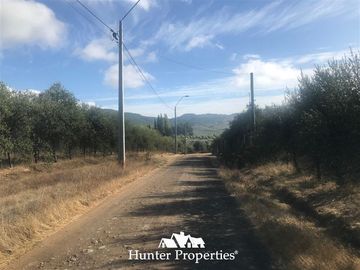 Terreno Construccion en Venta en camino pencahue sector Quepo hacia el norte