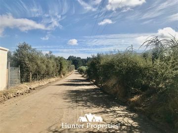 Parcela en Venta en camino pencahue sector Quepo hacia el norte