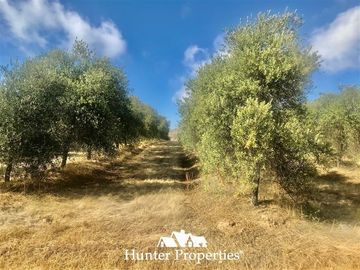Terreno Construccion en Venta en camino pencahue sector Quepo hacia el norte