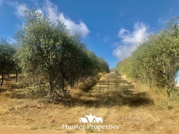Terreno Construccion en Venta en camino pencahue sector Quepo hacia el norte