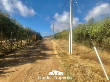 Terreno Construccion en Venta en camino pencahue sector Quepo hacia el norte