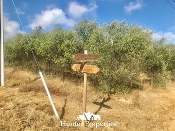 Terreno Construccion en Venta en camino pencahue sector Quepo hacia el norte