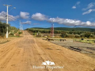 Terreno Construccion en Venta en camino pencahue sector Quepo hacia el norte