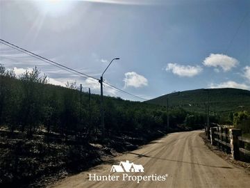 Parcela en Venta en camino a pencahue , sector quepo, camino a hacia el norte