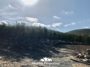 Terreno Construccion en Venta en camino a pencahue , sector quepo, camino a hacia el norte
