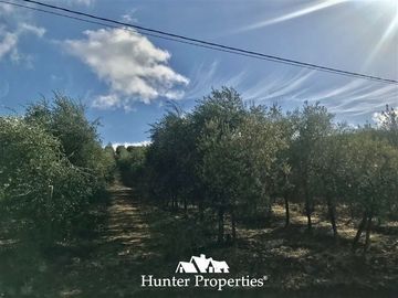 Terreno Construccion en Venta en camino a pencahue , sector quepo, camino a hacia el norte