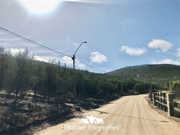 Terreno Construccion en Venta en camino a pencahue , sector quepo, camino a hacia el norte
