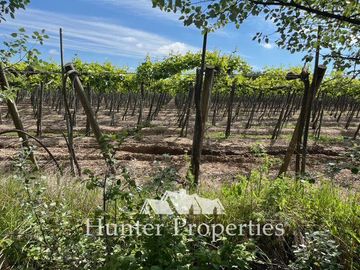 Agrícola en Venta en a dos Km de la ruta por camino a retiro hacia el poniente , sector la granja