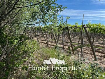 Terreno Construccion en Venta en a dos Km de la ruta por camino a retiro hacia el poniente , sector la granja
