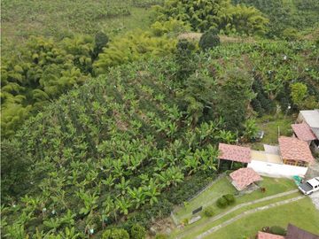 SE VENDE FINCA EN LA VA QUE CONDUCE FILANDIA QUIMBAYA