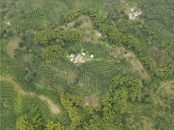 SE VENDE FINCA EN LA VA QUE CONDUCE FILANDIA QUIMBAYA