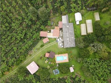 SE VENDE FINCA EN LA VA QUE CONDUCE FILANDIA QUIMBAYA