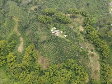 SE VENDE FINCA EN LA VA QUE CONDUCE FILANDIA QUIMBAYA