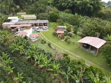 SE VENDE FINCA EN LA VA QUE CONDUCE FILANDIA QUIMBAYA