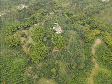 SE VENDE FINCA EN LA VA QUE CONDUCE FILANDIA QUIMBAYA