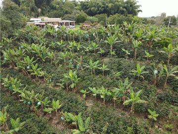 SE VENDE FINCA EN LA VA QUE CONDUCE FILANDIA QUIMBAYA