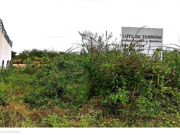 TERRENO EN VENTA EN SECTOR CASTELNUOVO, PARROQUIA ATACAMES ESMERALDAS