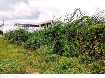 TERRENO EN VENTA EN SECTOR CASTELNUOVO, PARROQUIA ATACAMES ESMERALDAS