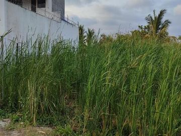 TERRENO EN VENTA EN SECTOR CASTELNUOVO, PARROQUIA ATACAMES ESMERALDAS
