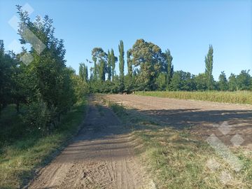 Venta Chacra 10 has - Cinco Saltos - Río Negro