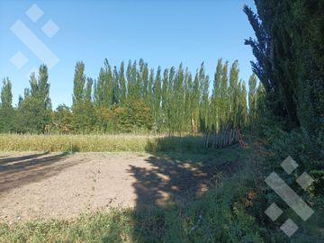 Venta Chacra 10 has - Cinco Saltos - Río Negro