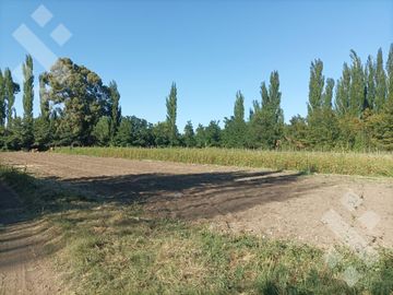 Venta Chacra 10 has - Cinco Saltos - Río Negro