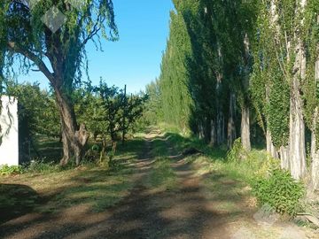 Venta Chacra 6 has - Cinco Saltos - Río Negro