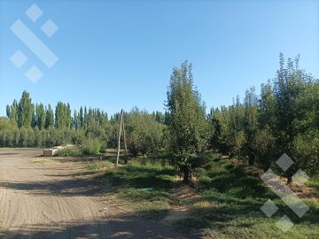 Venta Chacra 6 has - Cinco Saltos - Río Negro