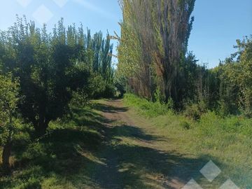 Venta Chacra 6 has - Cinco Saltos - Río Negro