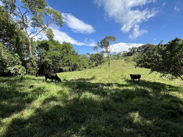 RANCHO EN VENTA EN MAPASTEPEC, CHIAPAS
