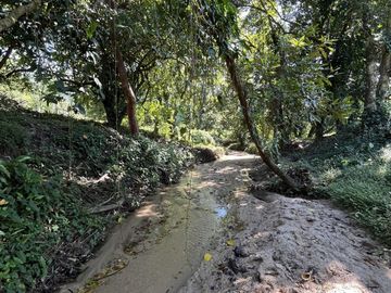 RANCHO EN VENTA EN MAPASTEPEC, CHIAPAS