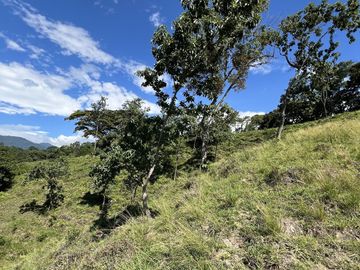 RANCHO EN VENTA EN MAPASTEPEC, CHIAPAS