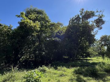 RANCHO EN VENTA EN MAPASTEPEC, CHIAPAS