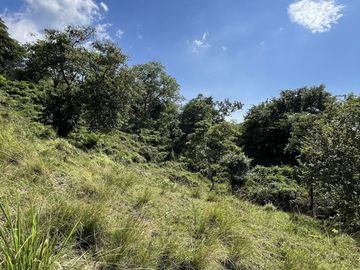 RANCHO EN VENTA EN MAPASTEPEC, CHIAPAS