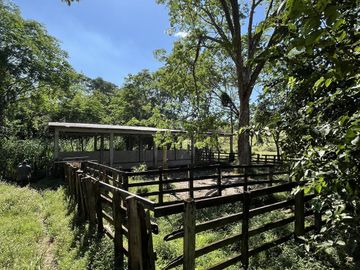 RANCHO EN VENTA EN MAPASTEPEC, CHIAPAS