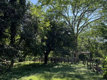 RANCHO EN VENTA EN MAPASTEPEC, CHIAPAS