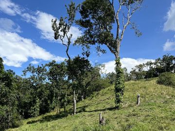 RANCHO EN VENTA EN MAPASTEPEC, CHIAPAS
