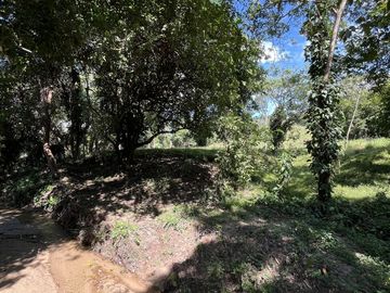 RANCHO EN VENTA EN MAPASTEPEC, CHIAPAS