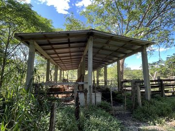 RANCHO EN VENTA EN MAPASTEPEC, CHIAPAS