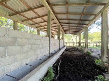 RANCHO EN VENTA EN MAPASTEPEC, CHIAPAS