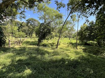 RANCHO EN VENTA EN MAPASTEPEC, CHIAPAS