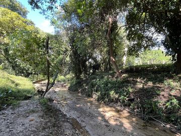 RANCHO EN VENTA EN MAPASTEPEC, CHIAPAS
