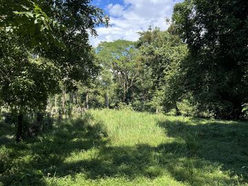 RANCHO EN VENTA EN MAPASTEPEC, CHIAPAS